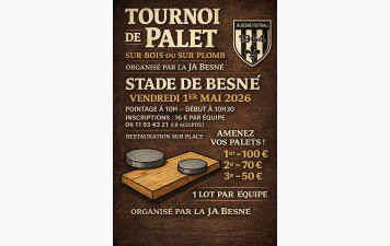 Tournoi de Palets